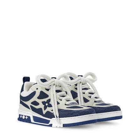Lou1s vuitton skates