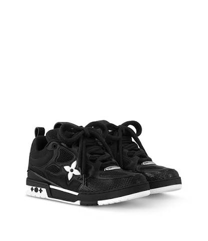 Lou1s vuitton skates